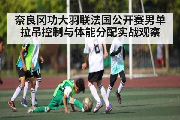 奈良冈功大羽联法国公开赛男单拉吊控制与体能分配实战观察